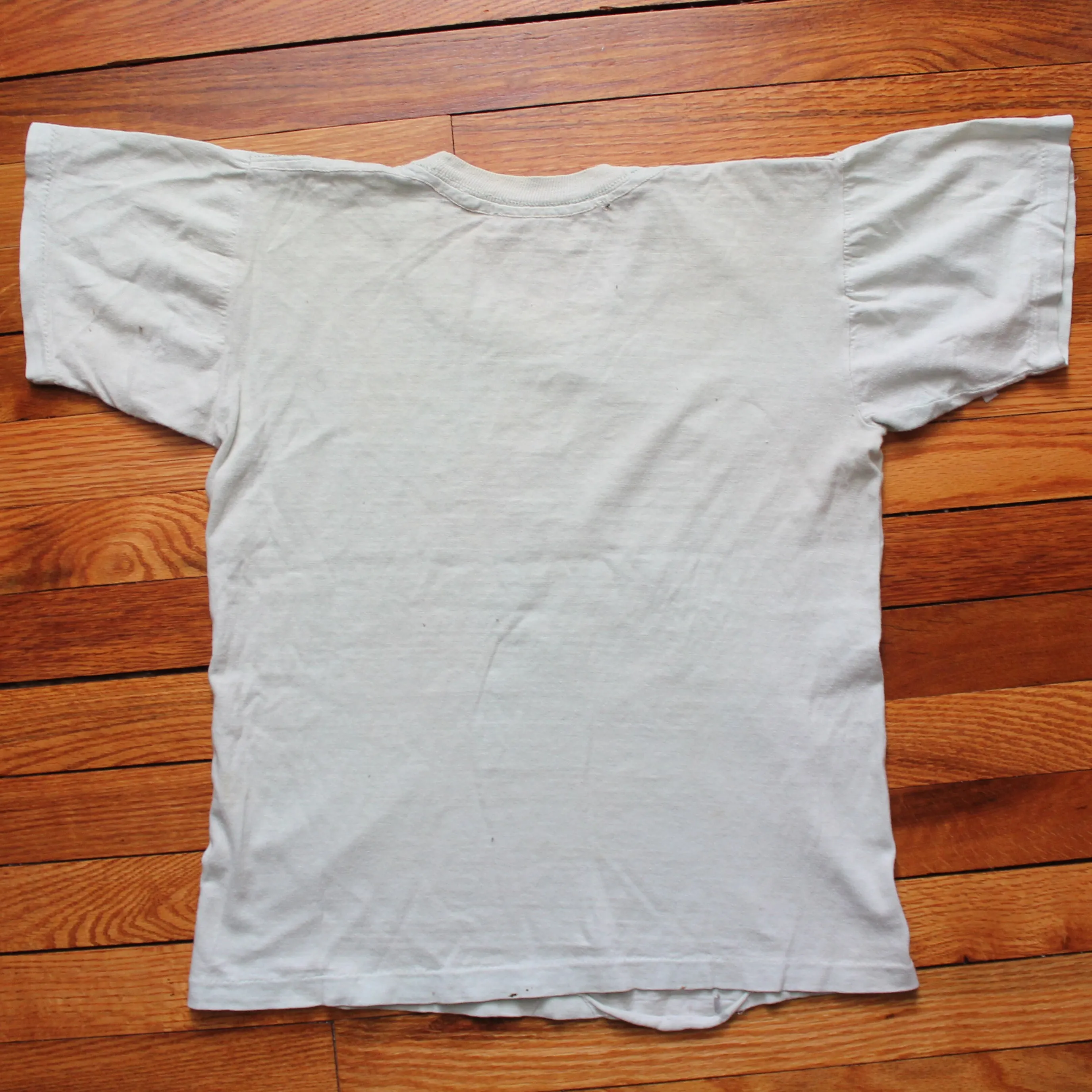 Original 1973 Watkins Glen Summer Jam shirt