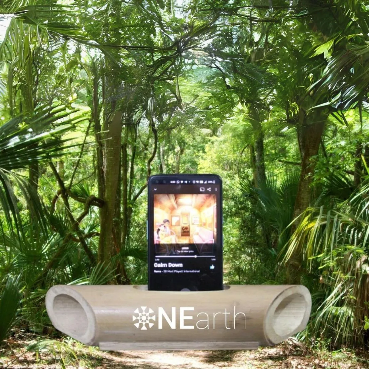 Sound Amplifier-Cum-Docking Station | Multi Functional | Sturdy Bamboo